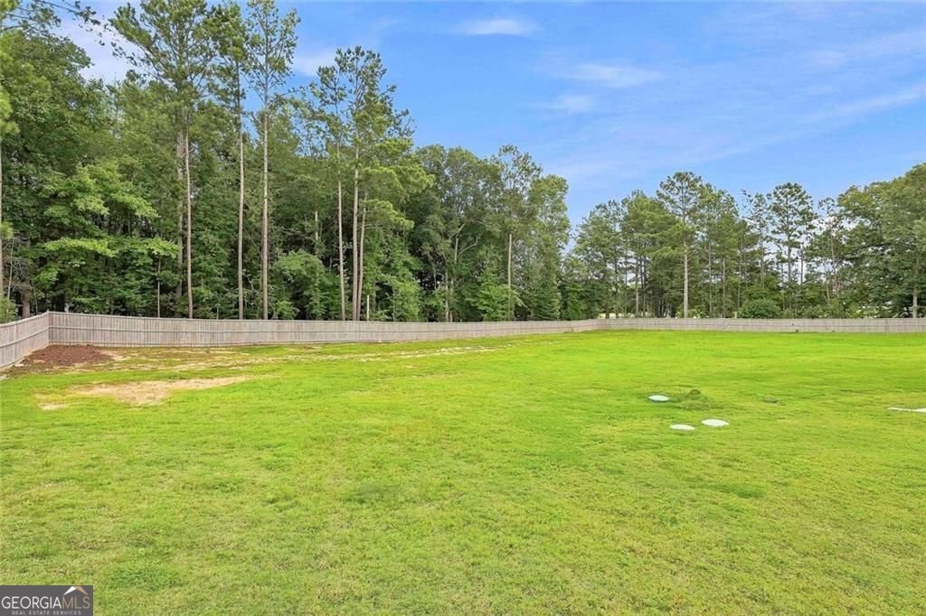 155 Estancia Lane Fayetteville - Photo 99