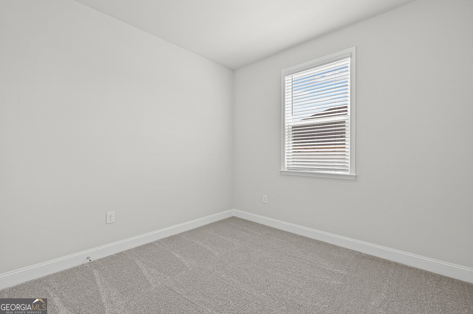 253 Nesta Grove Drive Locust Grove - Photo 14