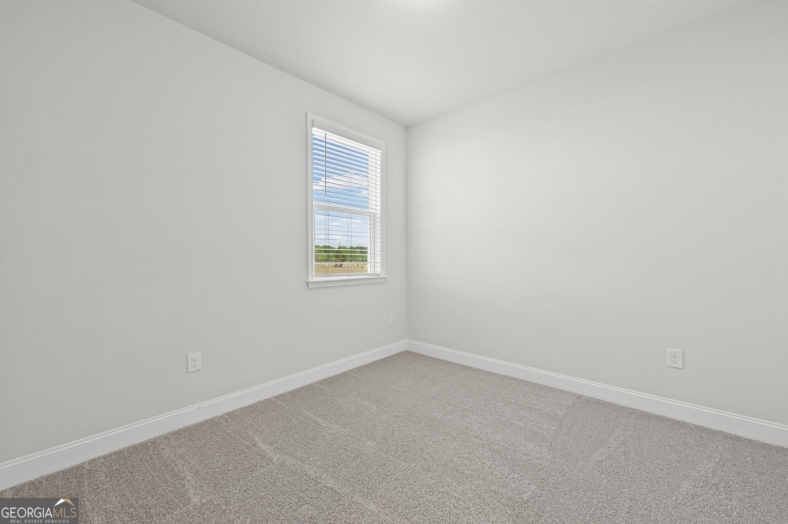 253 Nesta Grove Drive Locust Grove - Photo 17