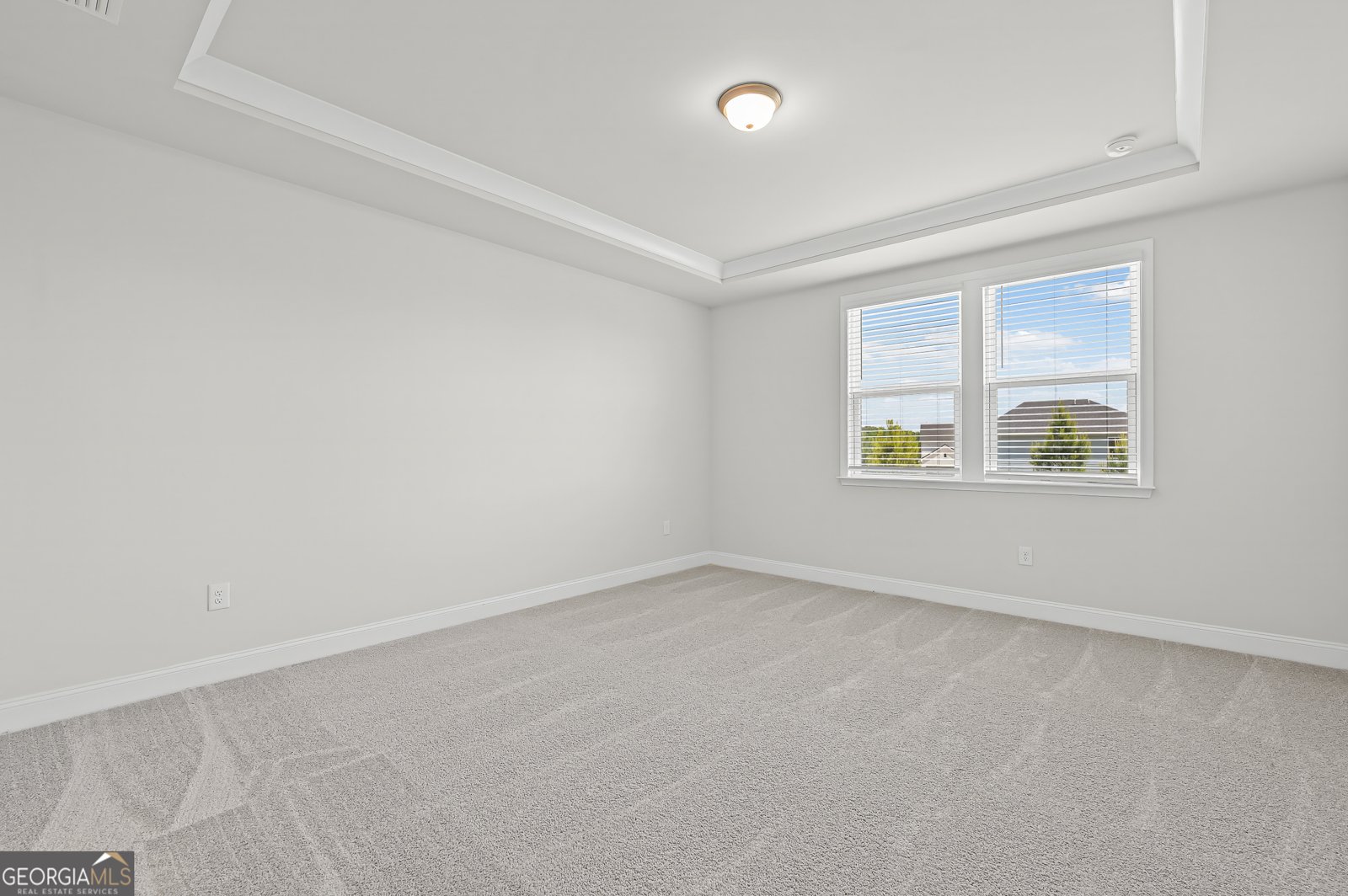 253 Nesta Grove Drive Locust Grove - Photo 9