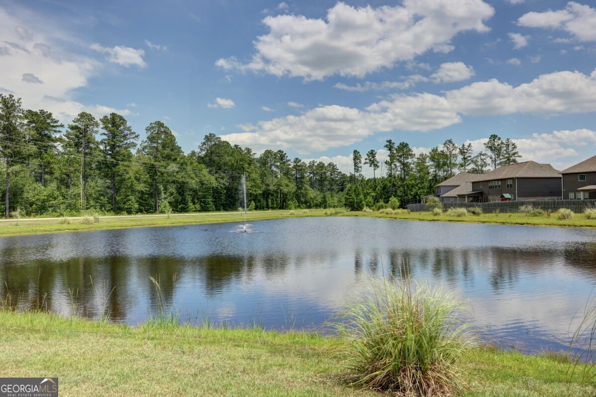 130 Clover Pointe Circle Guyton - Photo 56