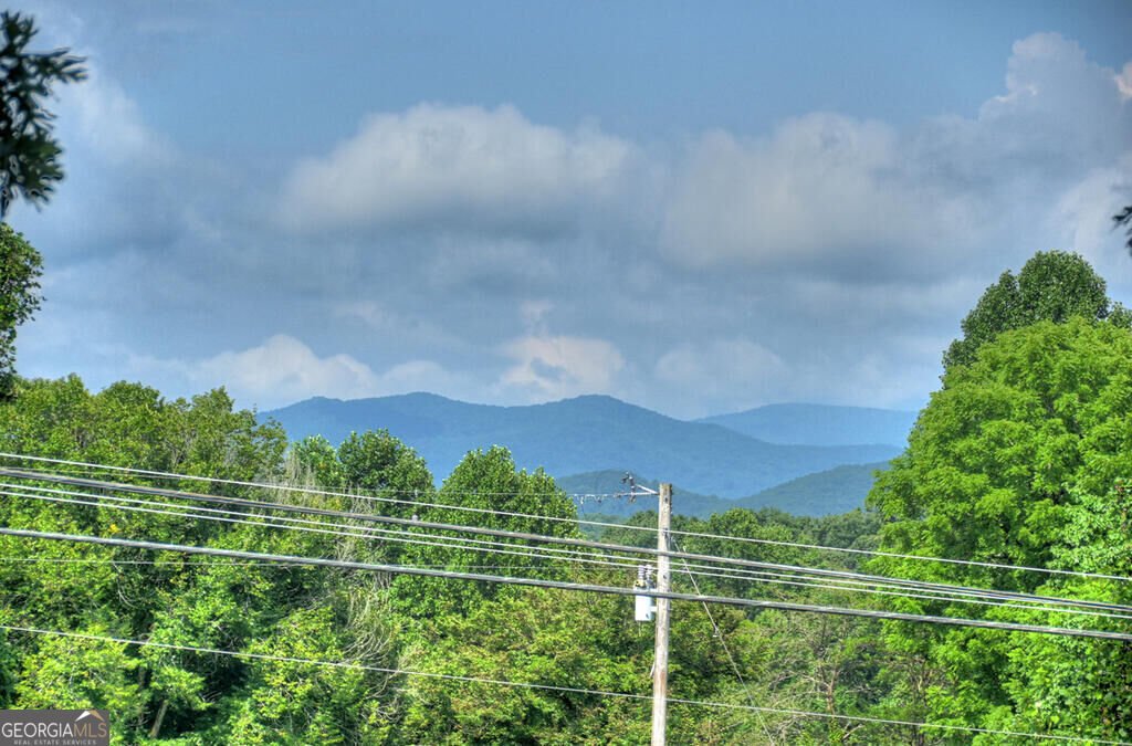 35 Thomas Road Blue Ridge - Photo 17