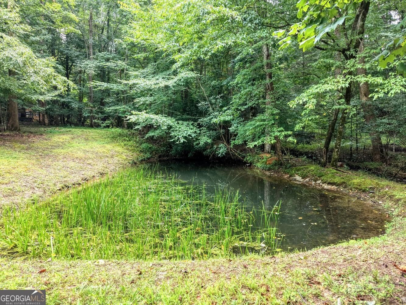 4348 White Oak Drive Hiawassee - Photo 50