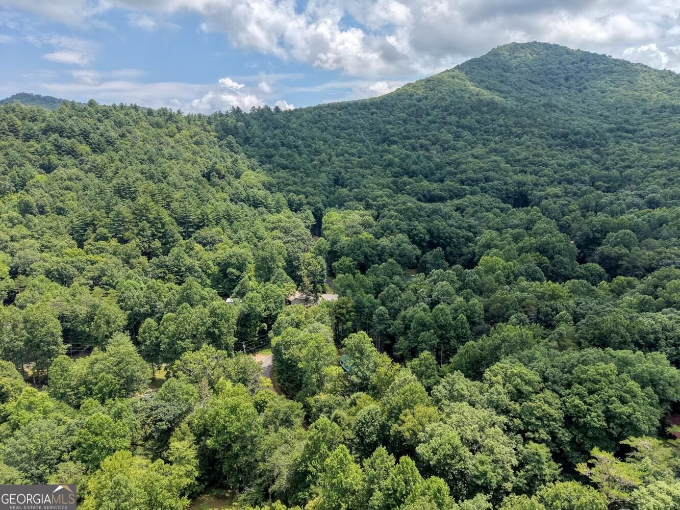 4348 White Oak Drive Hiawassee - Photo 53