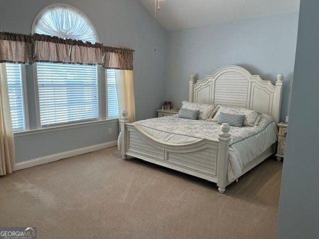 311 Acuba View Woodstock - Photo 10