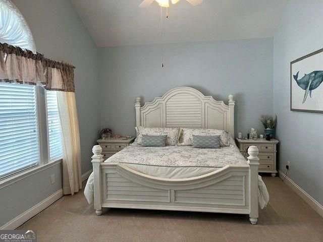 311 Acuba View Woodstock - Photo 11