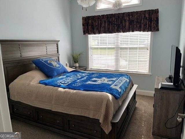 311 Acuba View Woodstock - Photo 15
