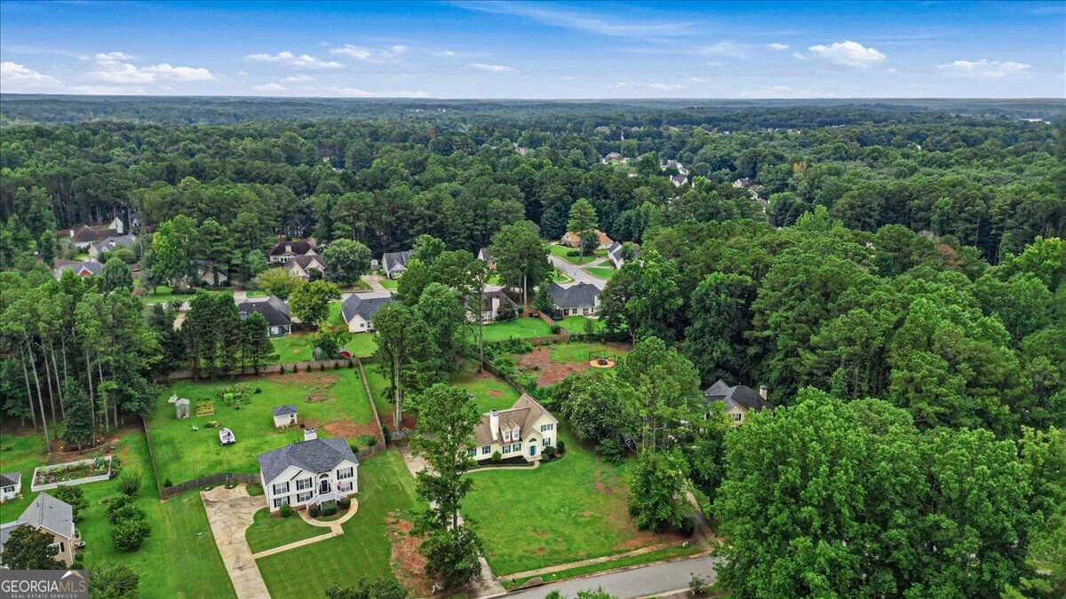 43 Mosswood Court Newnan - Photo 51
