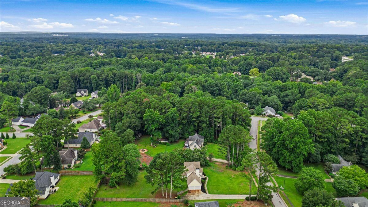 43 Mosswood Court Newnan - Photo 53