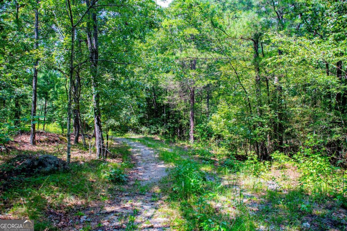 3372 East Hwy 5 Whitesburg - Photo 61
