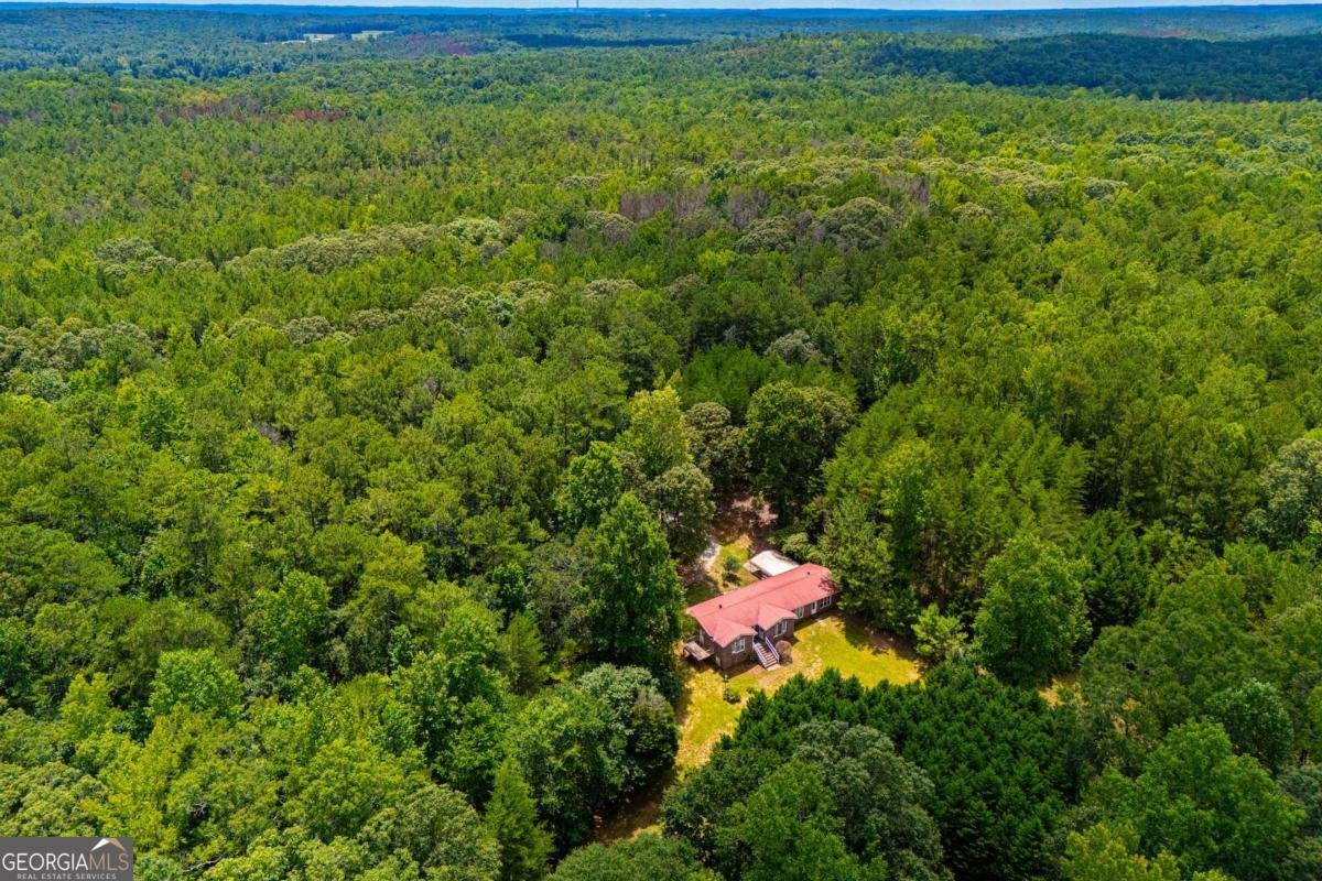 3372 East Hwy 5 Whitesburg - Photo 63