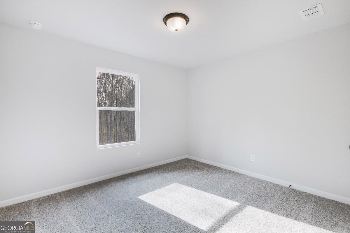 343 Yukon Drive Conyers - Photo 44