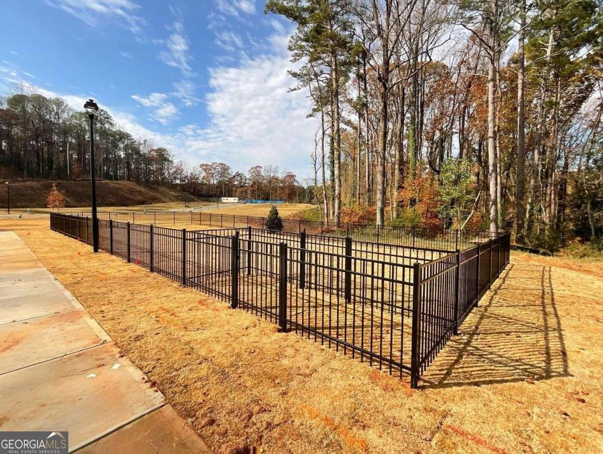 3552 Birdstone Drive Decatur - Photo 28