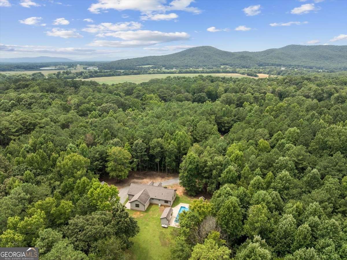 1358 Reeves Station Road Calhoun - Photo 38