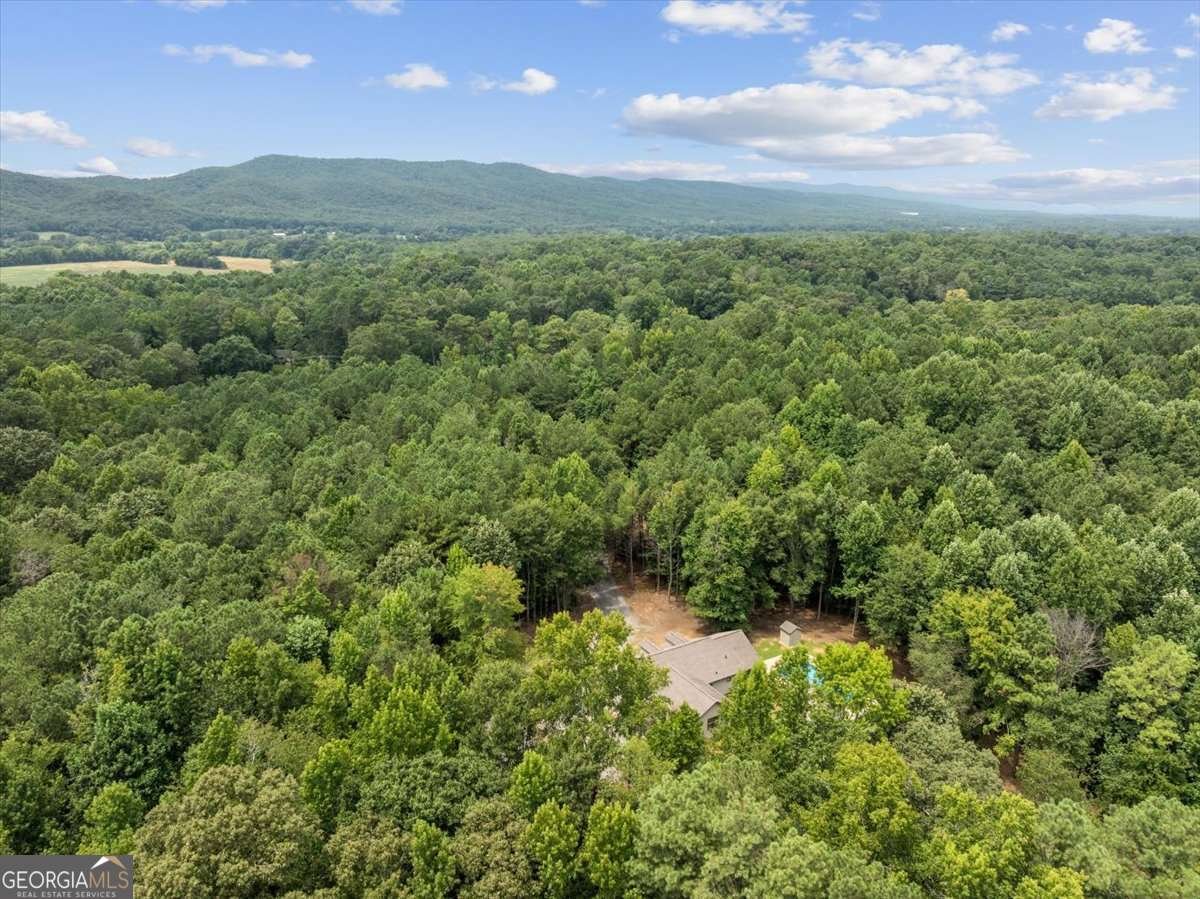 1358 Reeves Station Road Calhoun - Photo 40