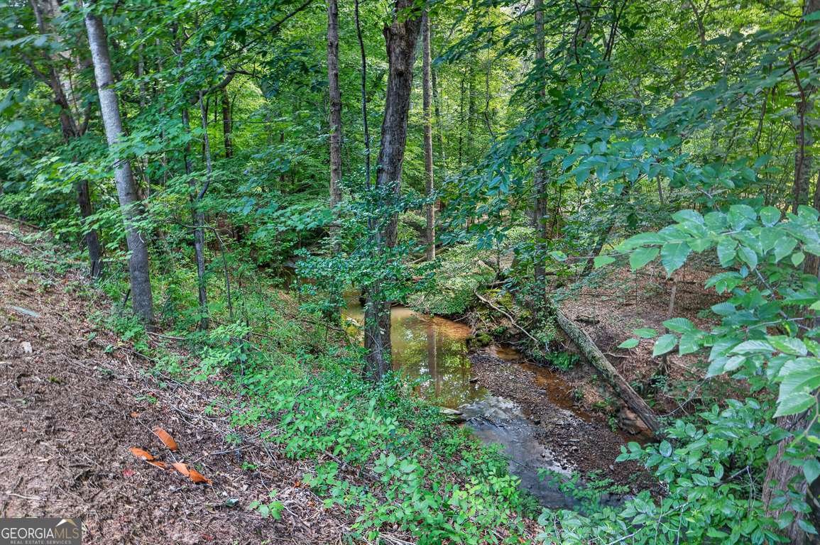 2294 Meadow's End Duluth - Photo 34