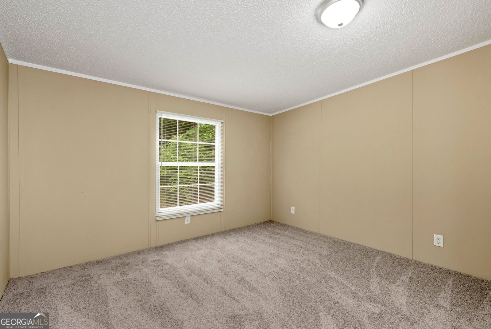 255 Double Branch Road Danielsville - Photo 18