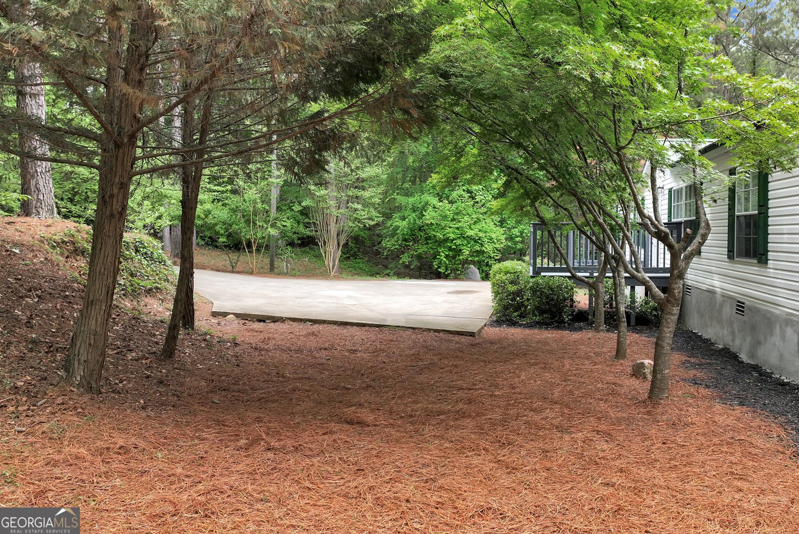 255 Double Branch Road Danielsville - Photo 35