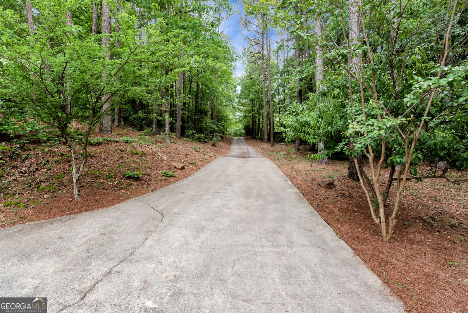 255 Double Branch Road Danielsville - Photo 37