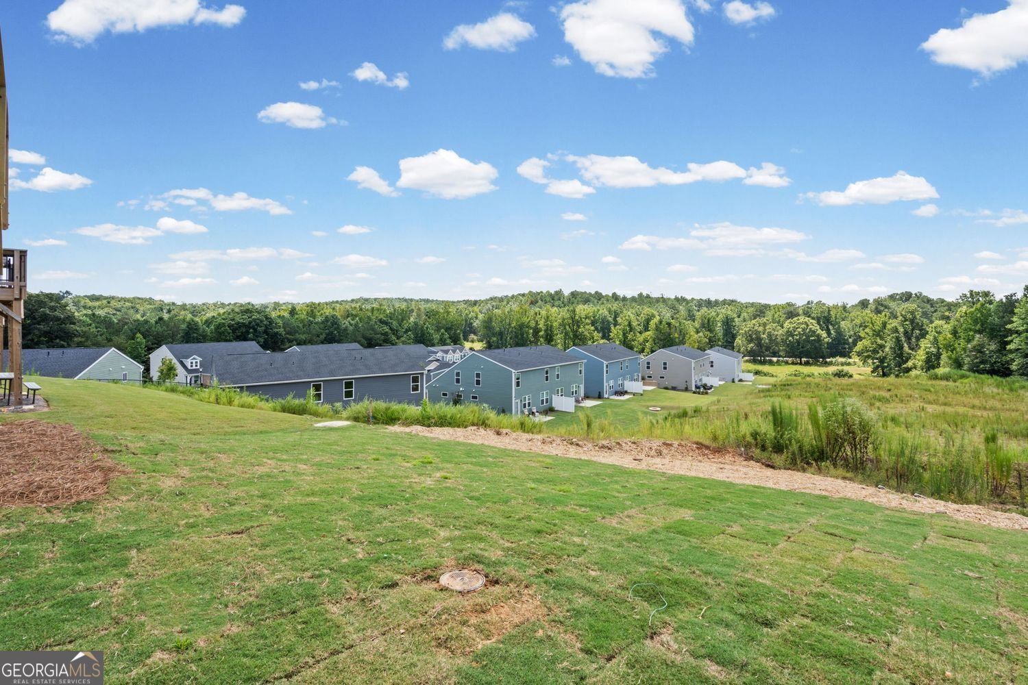 25 Village Drive Dawsonville - Photo 43