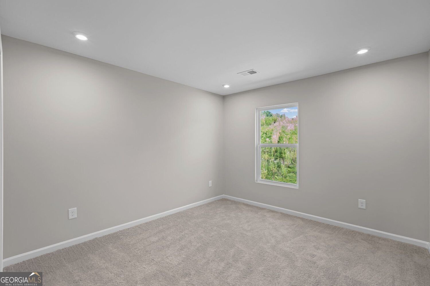 18 Gold Dust Drive Dawsonville - Photo 28
