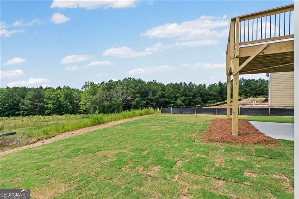 27 Village Drive Dawsonville - Photo 41