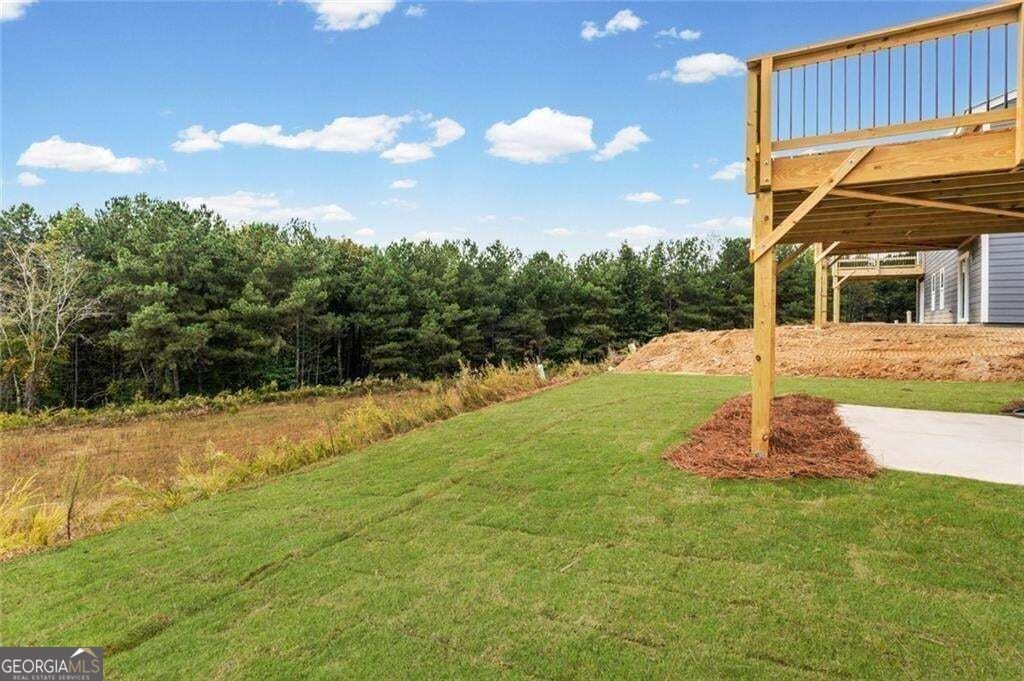 37 Village Drive Dawsonville - Photo 43