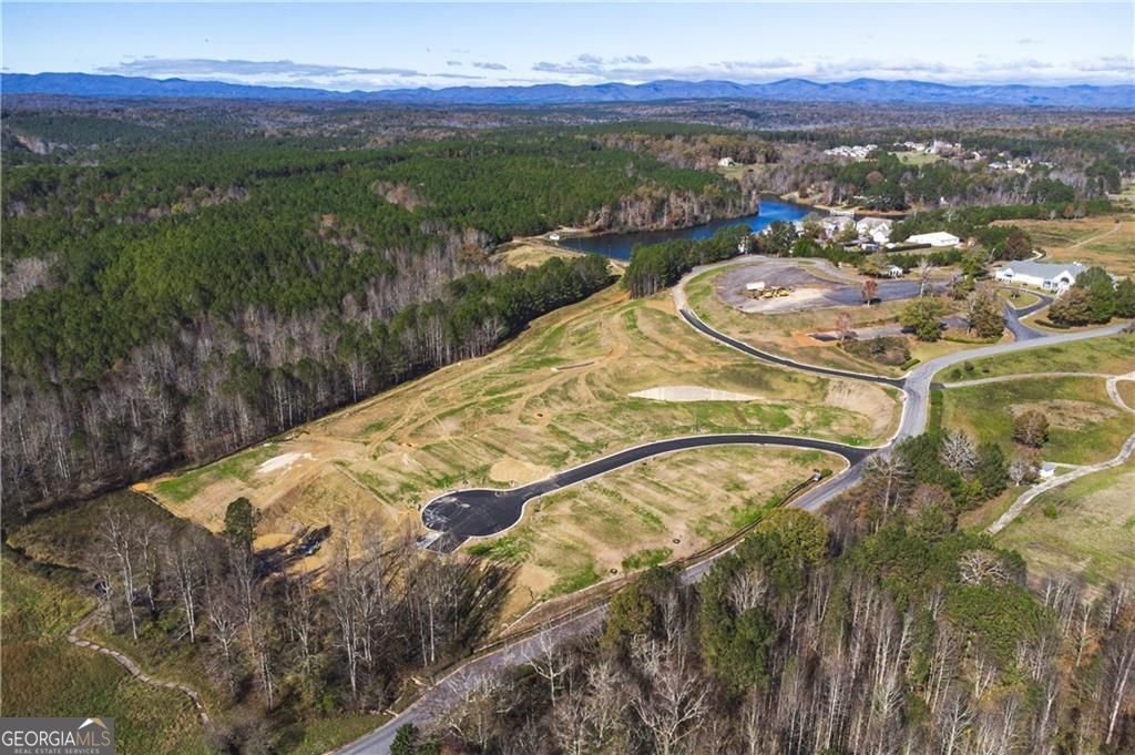 42 Gold Dust Drive Dawsonville - Photo 12