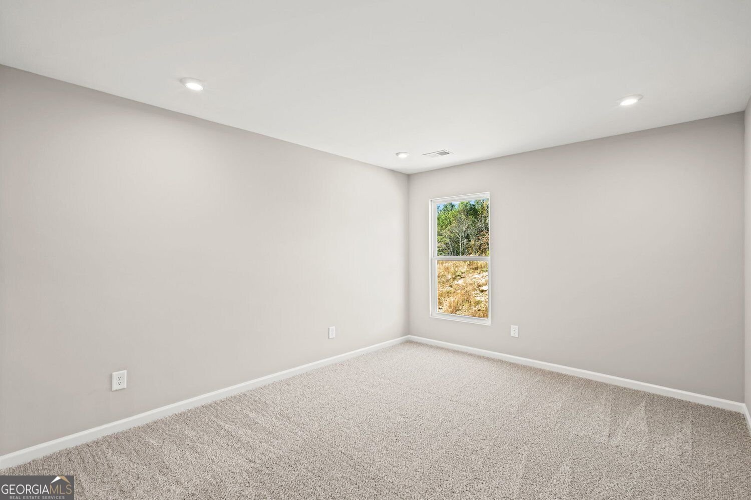 42 Gold Dust Drive Dawsonville - Photo 33