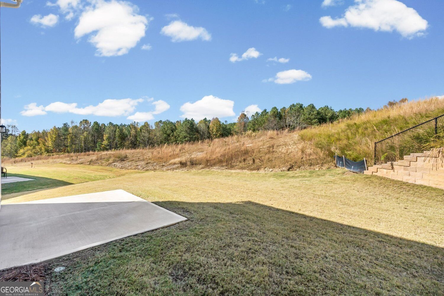 42 Gold Dust Drive Dawsonville - Photo 37