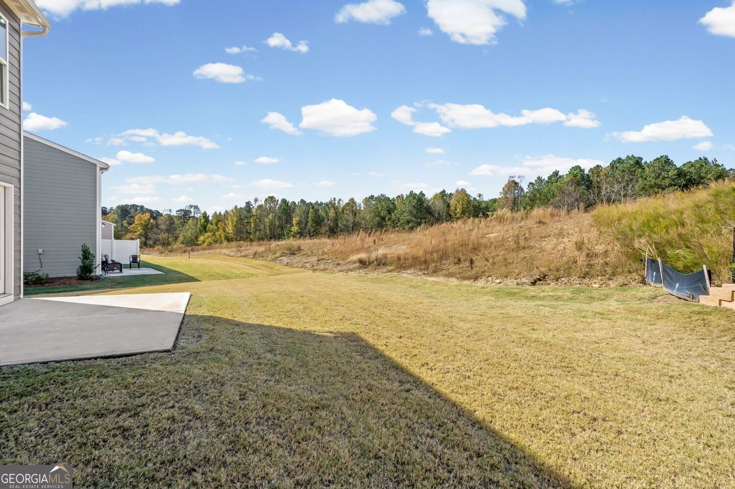 42 Gold Dust Drive Dawsonville - Photo 38