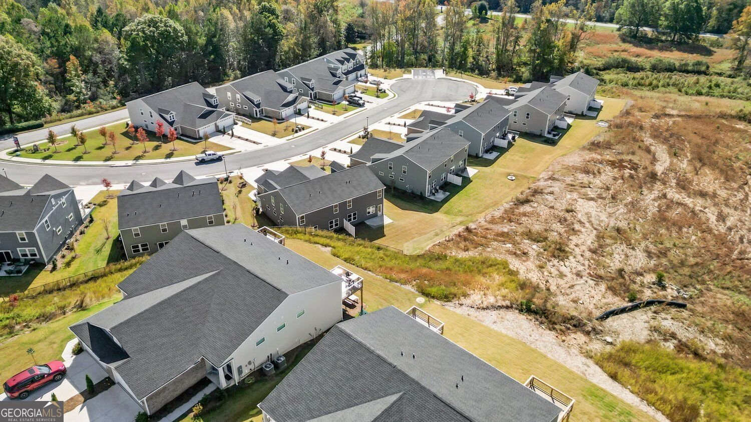 42 Gold Dust Drive Dawsonville - Photo 43