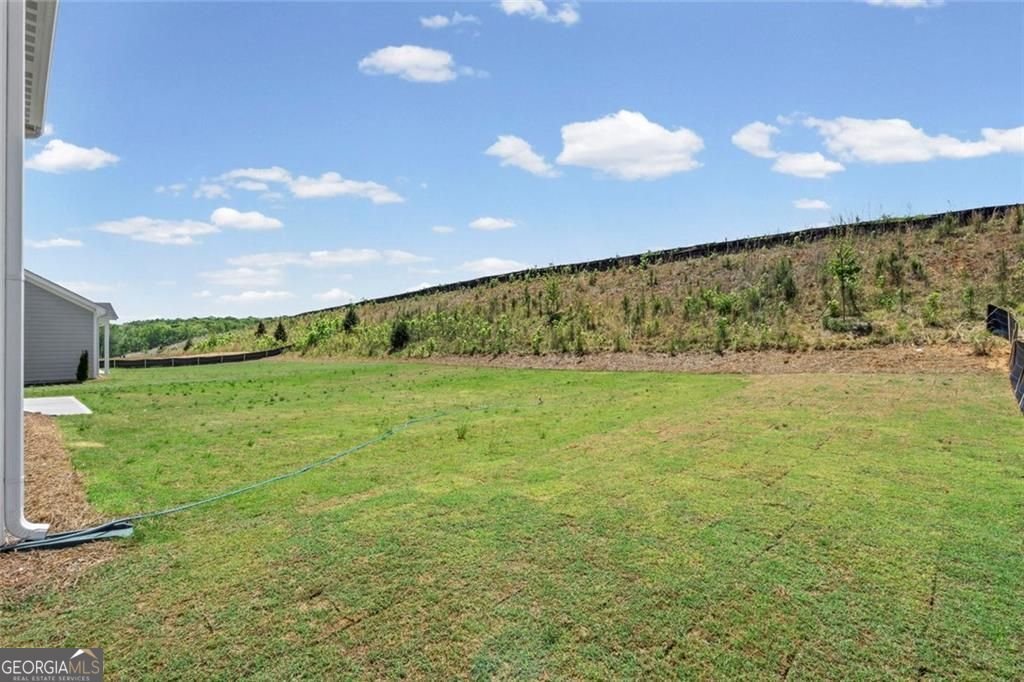 150 Hidden Fields Way Hoschton - Photo 46