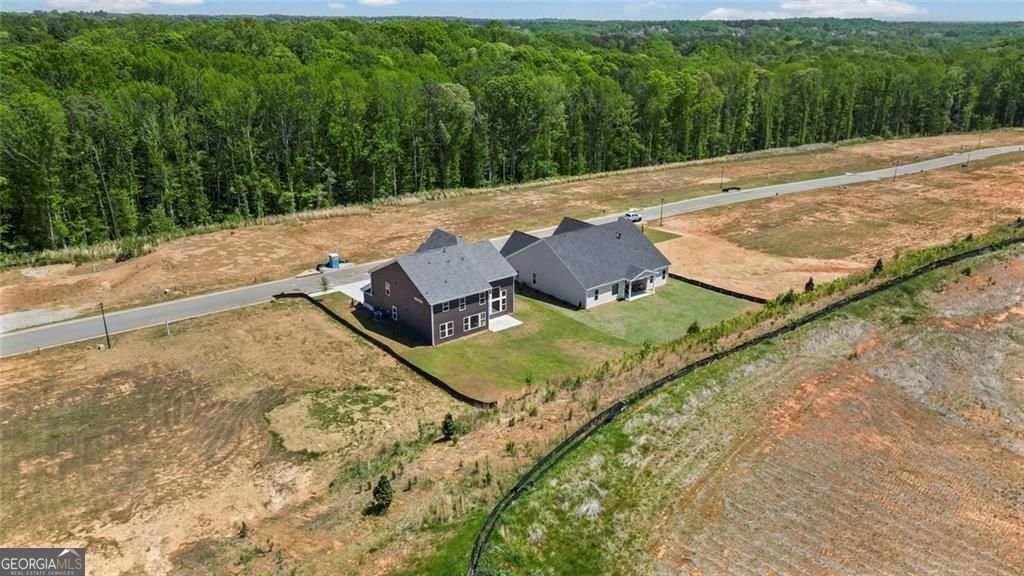 150 Hidden Fields Way Hoschton - Photo 49