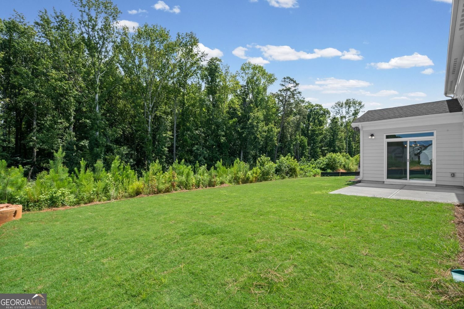 159 Hidden Fields Way Hoschton - Photo 44
