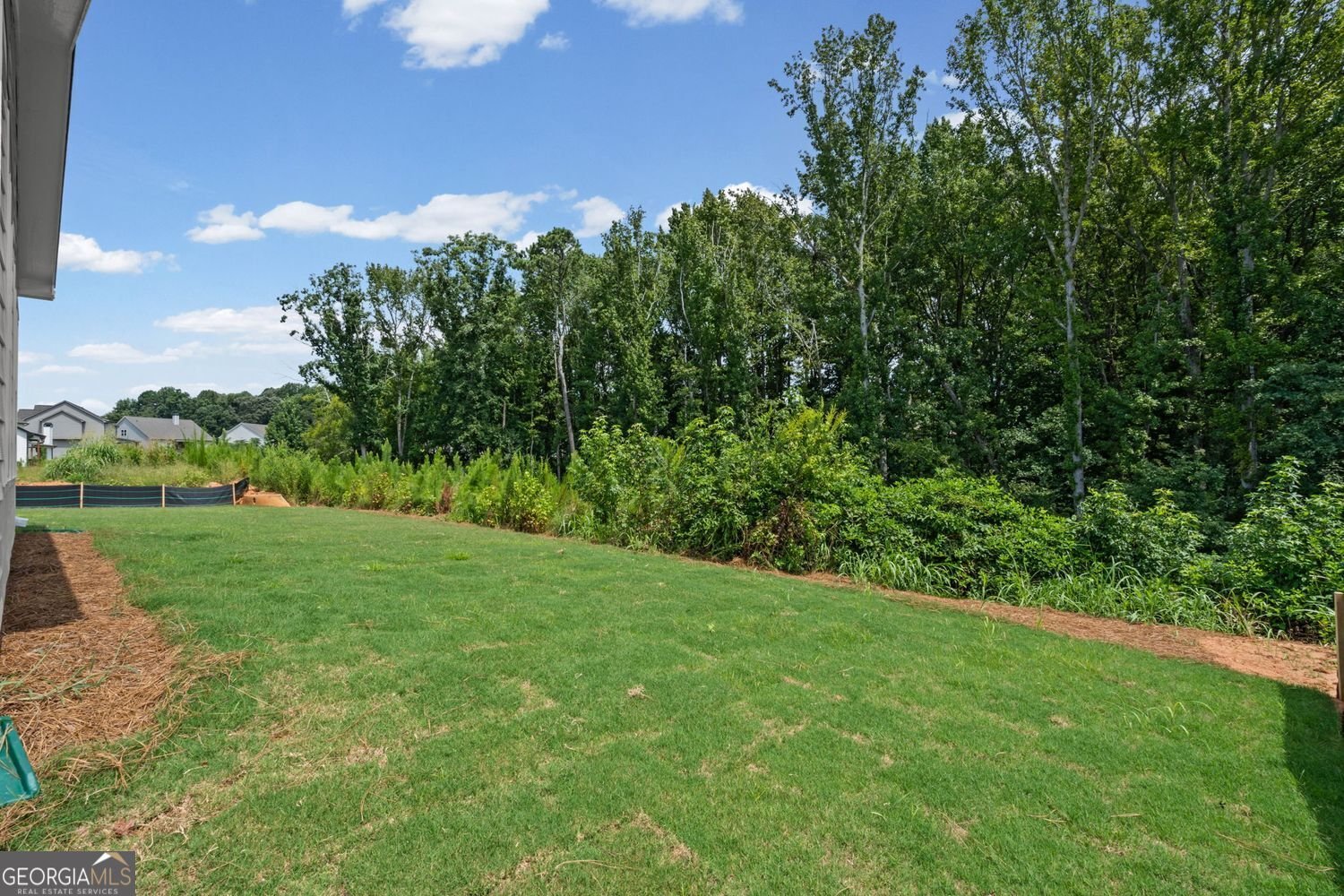 159 Hidden Fields Way Hoschton - Photo 45