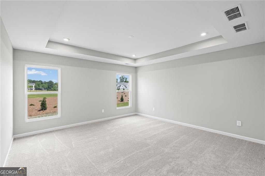 222 Loon Lake Way Hoschton - Photo 24