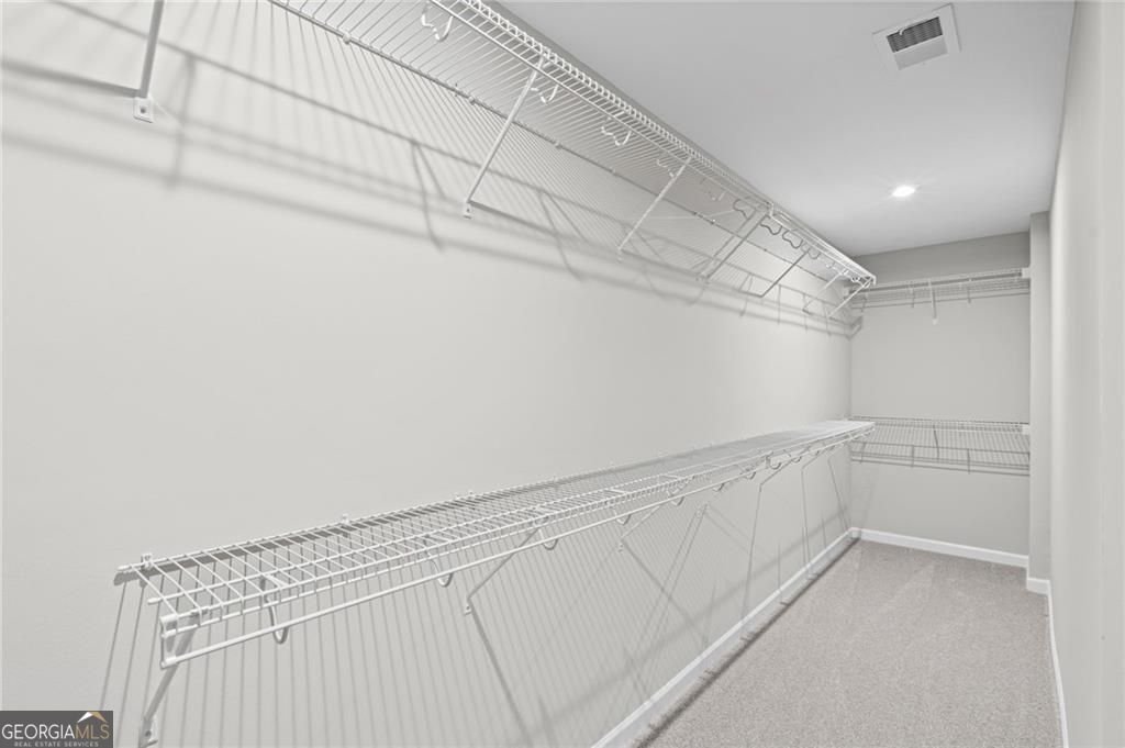 222 Loon Lake Way Hoschton - Photo 28