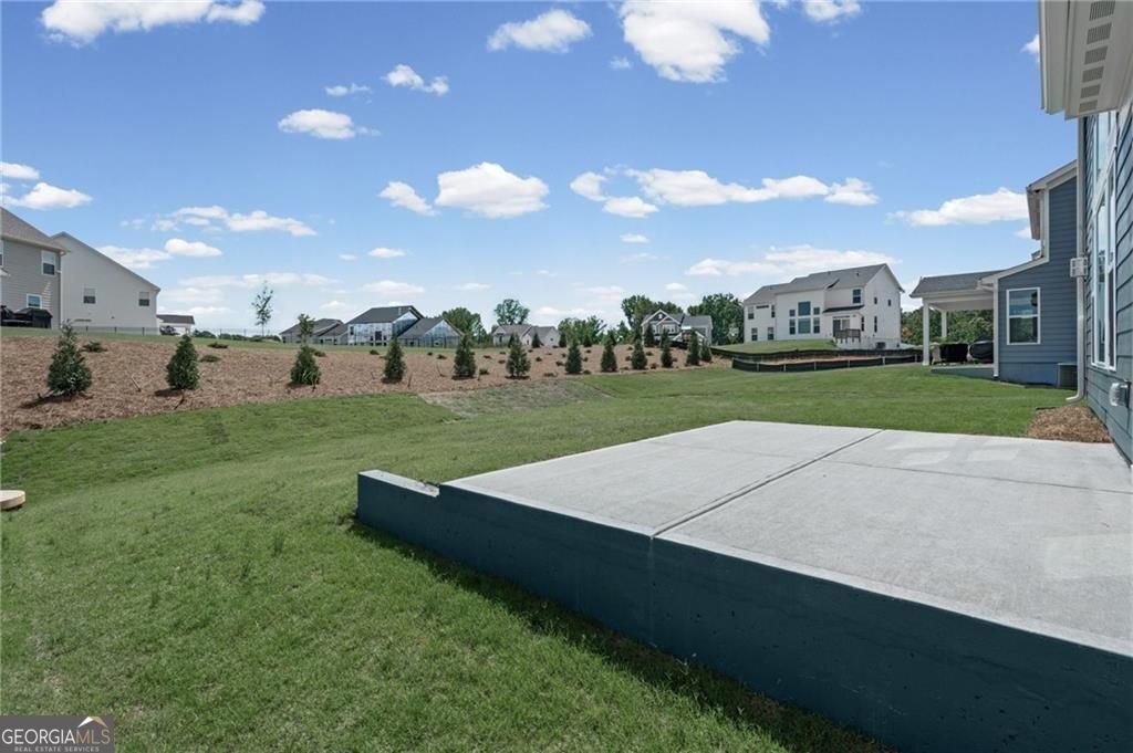 222 Loon Lake Way Hoschton - Photo 35
