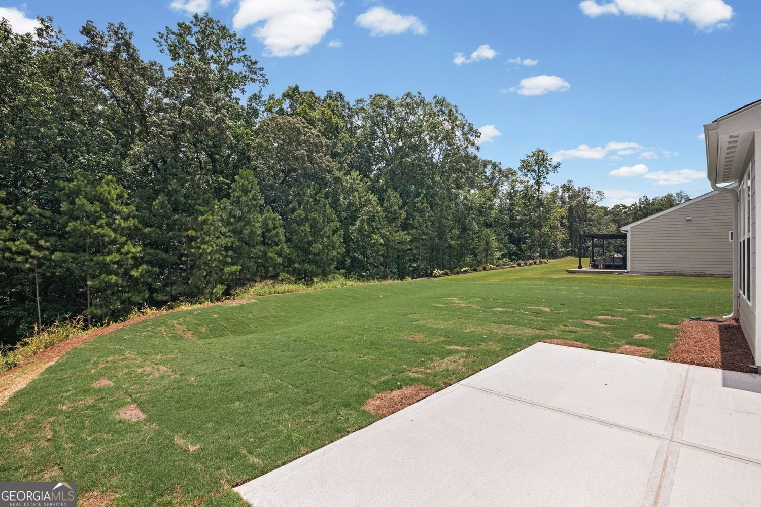 208 Pickens Bluff Lane Hiram - Photo 38