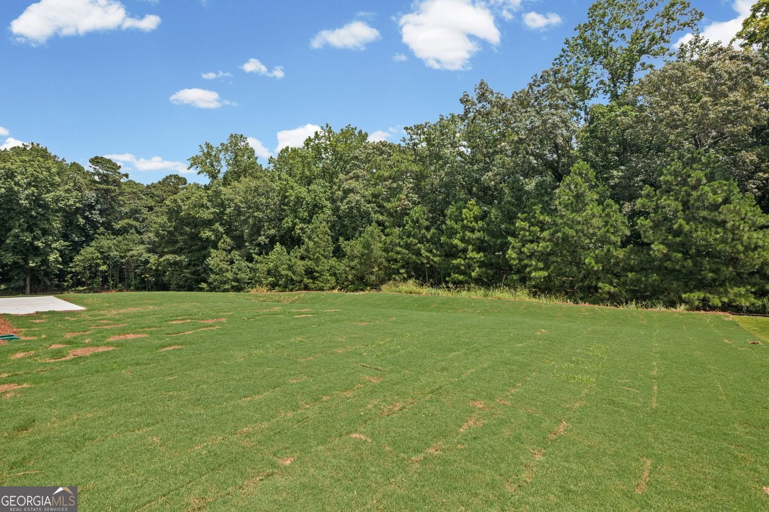 208 Pickens Bluff Lane Hiram - Photo 40