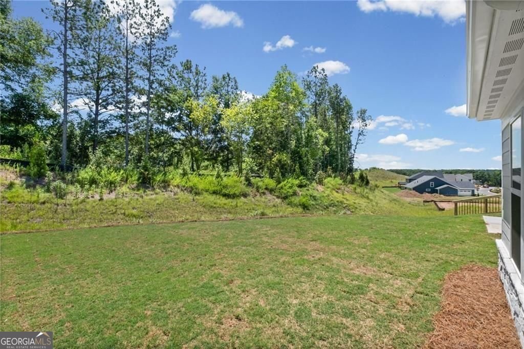 115 Wood Grove Lane Canton - Photo 43