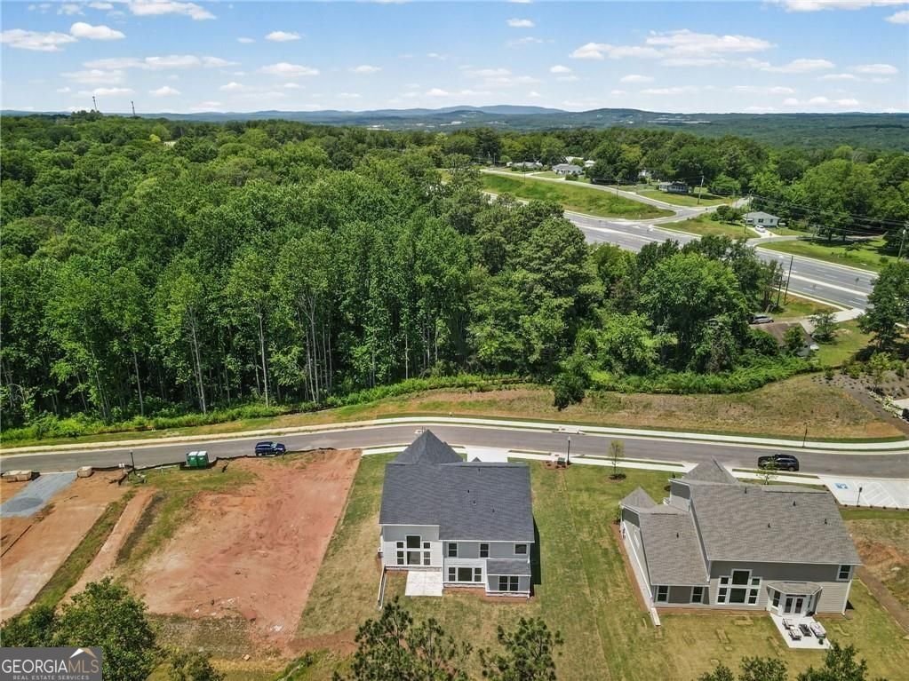 115 Wood Grove Lane Canton - Photo 47