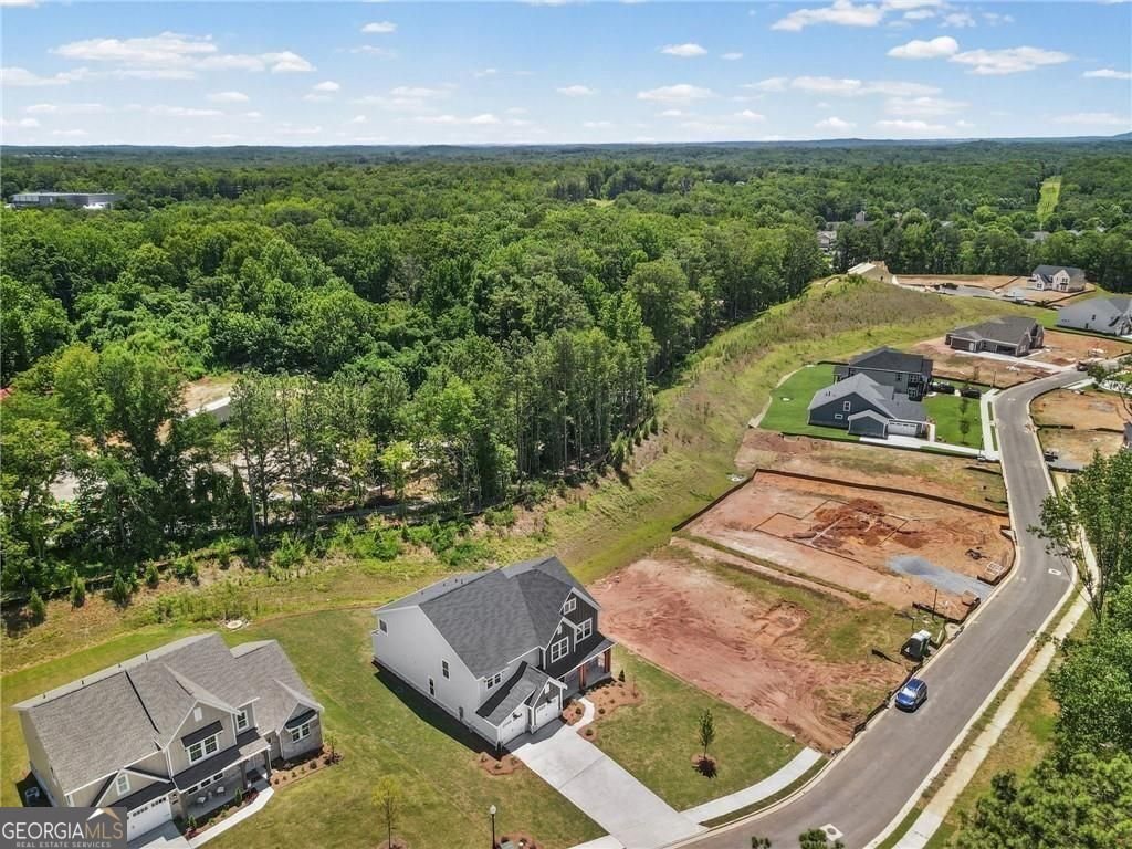 115 Wood Grove Lane Canton - Photo 7