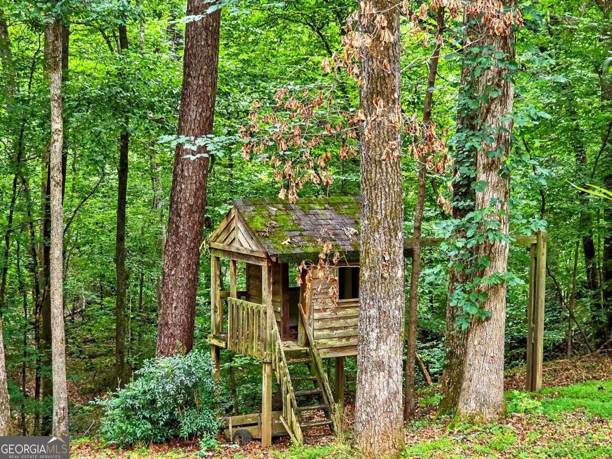 1740 Deer Run Drive Conyers - Photo 30