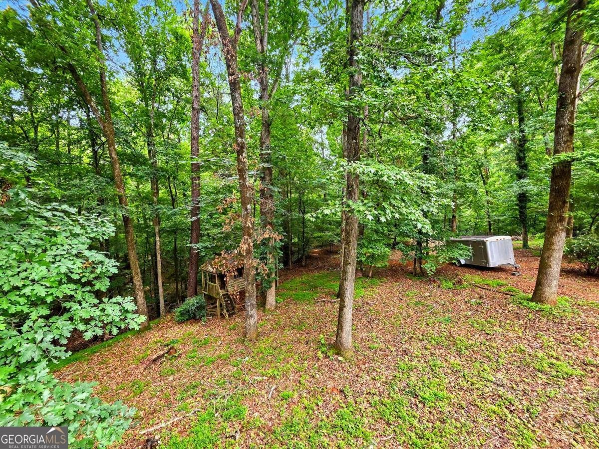 1740 Deer Run Drive Conyers - Photo 32