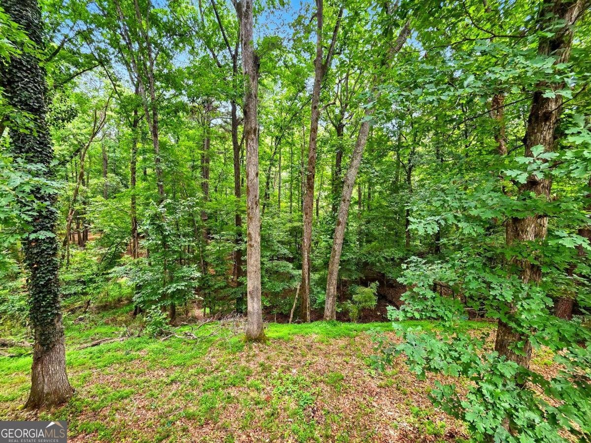 1740 Deer Run Drive Conyers - Photo 33