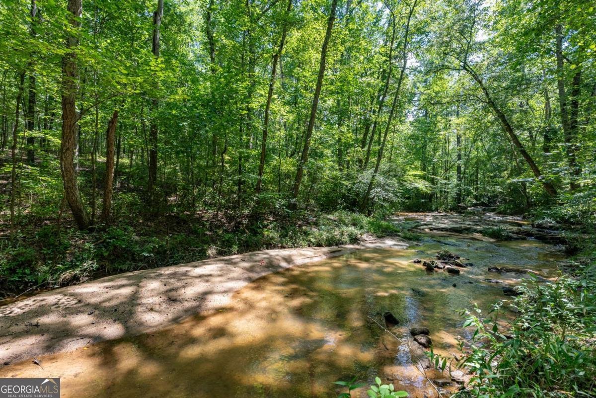 2425 Spratlin Mill Road Hull - Photo 31