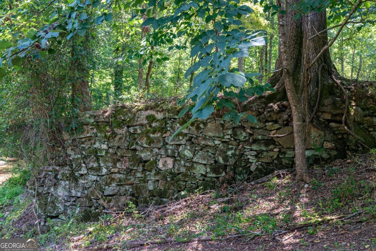 2425 Spratlin Mill Road Hull - Photo 38