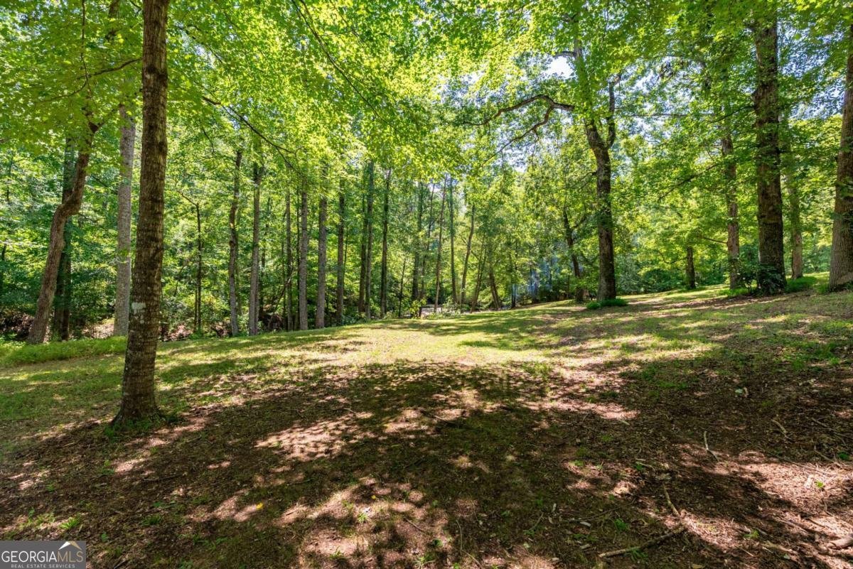 2425 Spratlin Mill Road Hull - Photo 39